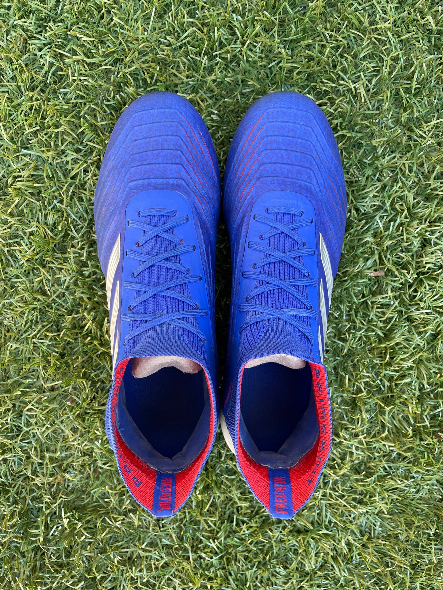 Adidas Predator 19.1 (8US)
